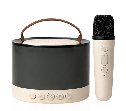 מקול בלוטוס קריוקי נייד 5W מבית EVERCHARGE עם מיקרופון אלחוטי ותאורת RGB מתחלפת
