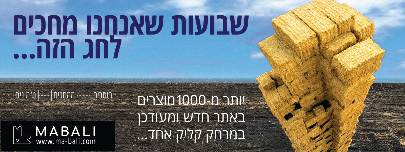 shavoot_-1600x603